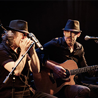 ההיביג'יביז | THE HEEBY GEE BEES